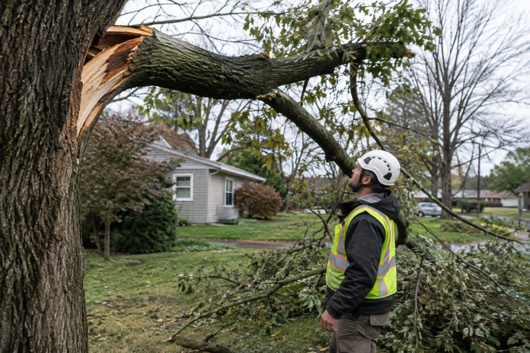 Tree Debrei Challengers Tree Service in Columbus, OH: Safe Care for Central Ohio ...